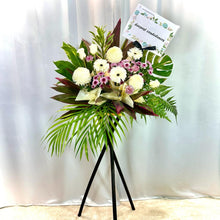 Load image into Gallery viewer, SKU-C-029