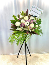 Load image into Gallery viewer, SKU-C-029