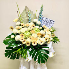 Load image into Gallery viewer, SKU-C-021