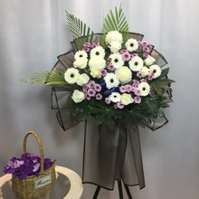 Load image into Gallery viewer, SKU-C-022