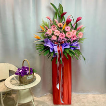 Load image into Gallery viewer, SKU-CG-004