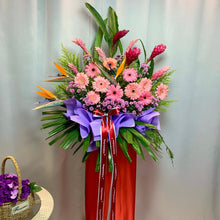 Load image into Gallery viewer, SKU-CG-004