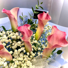 Load image into Gallery viewer, SKU-FB-081