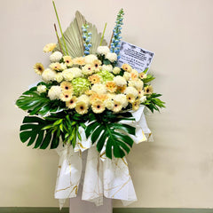 Collection image for: Condolences
