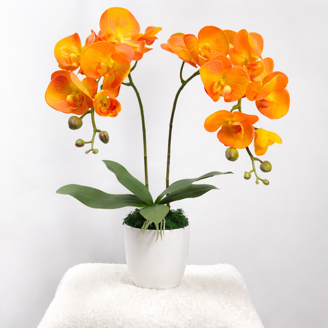 Artificial  Orchid (2 Stalks) -017